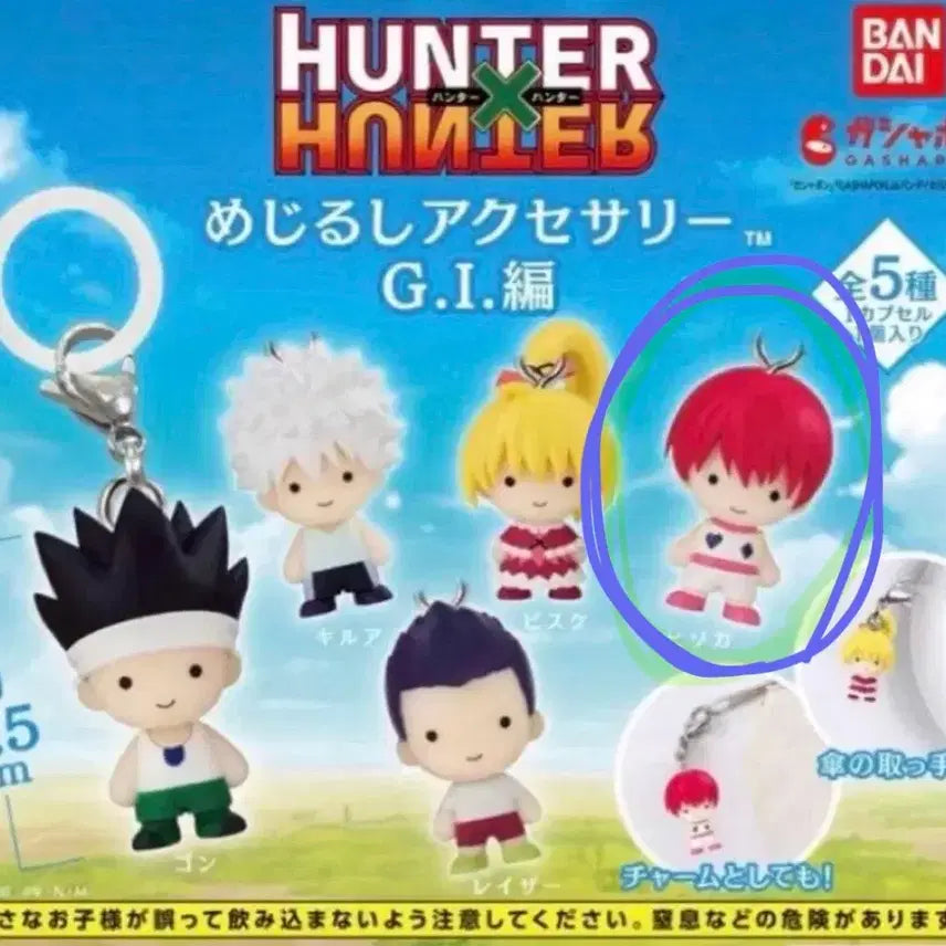 [BUNJANG] Hunter x Hunter Gon&