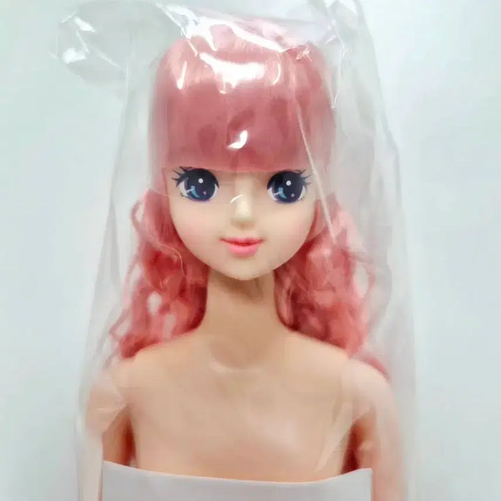 [BUNJANG] Rica Castle Jenny Friend Otanoshimi Doll Sayuri (27cm) / [리카캐슬] 제니프렌드 오타노시미 돌 사유리