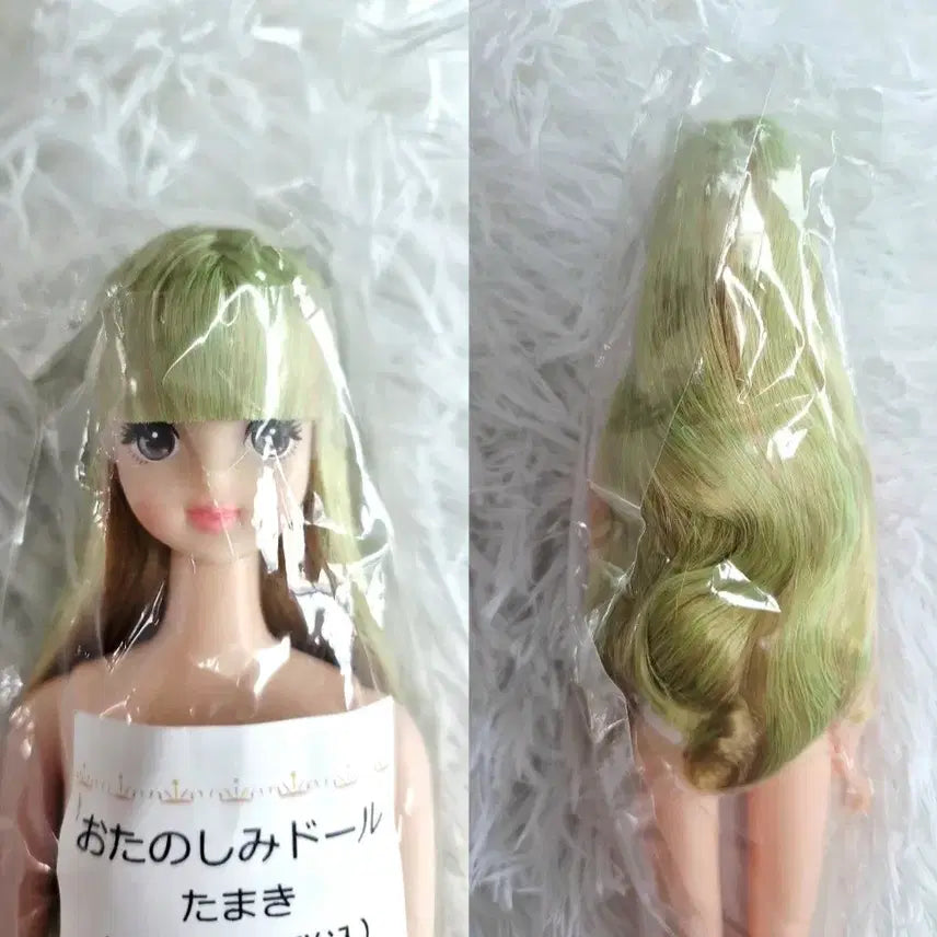 [BUNJANG] Rikacastle Jenny Friend Otoshami Doll Tamaki / [리카캐슬] 제니프렌드 오타노시미 돌 타마키