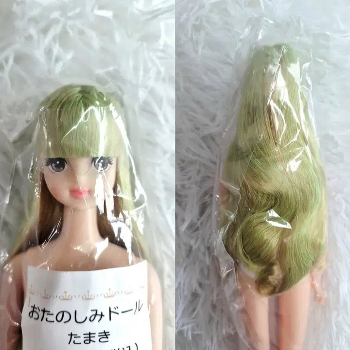 [BUNJANG] Rikacastle Jenny Friend Otoshami Doll Tamaki / [리카캐슬] 제니프렌드 오타노시미 돌 타마키