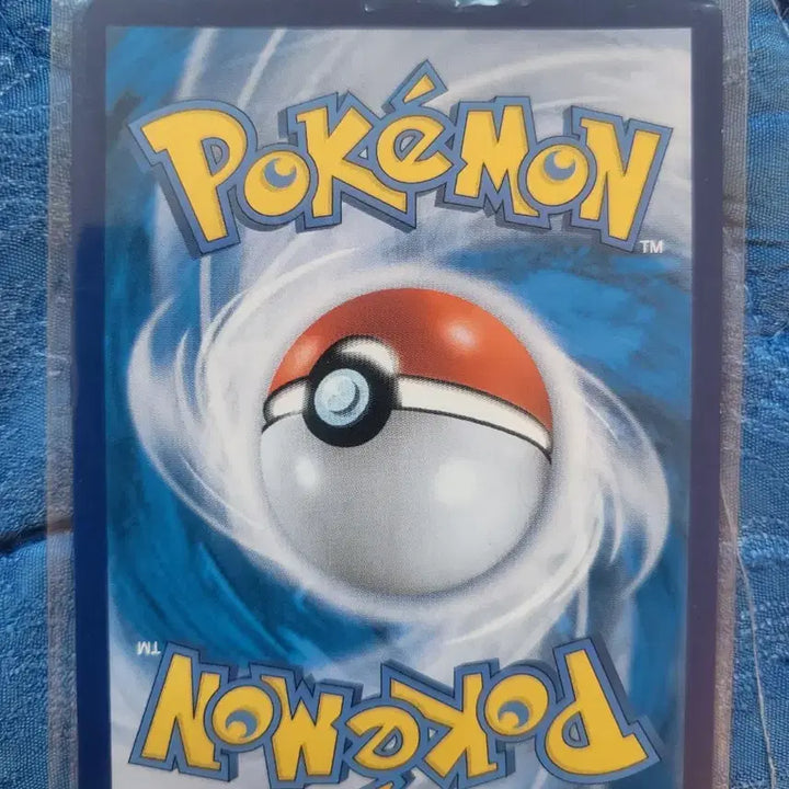 [BUNJANG] Pokemon Card Shining Greninja Bundle Set (JP/KR) / 포켓몬 카드 찬란한 개굴닌자 한판,일판 일괄