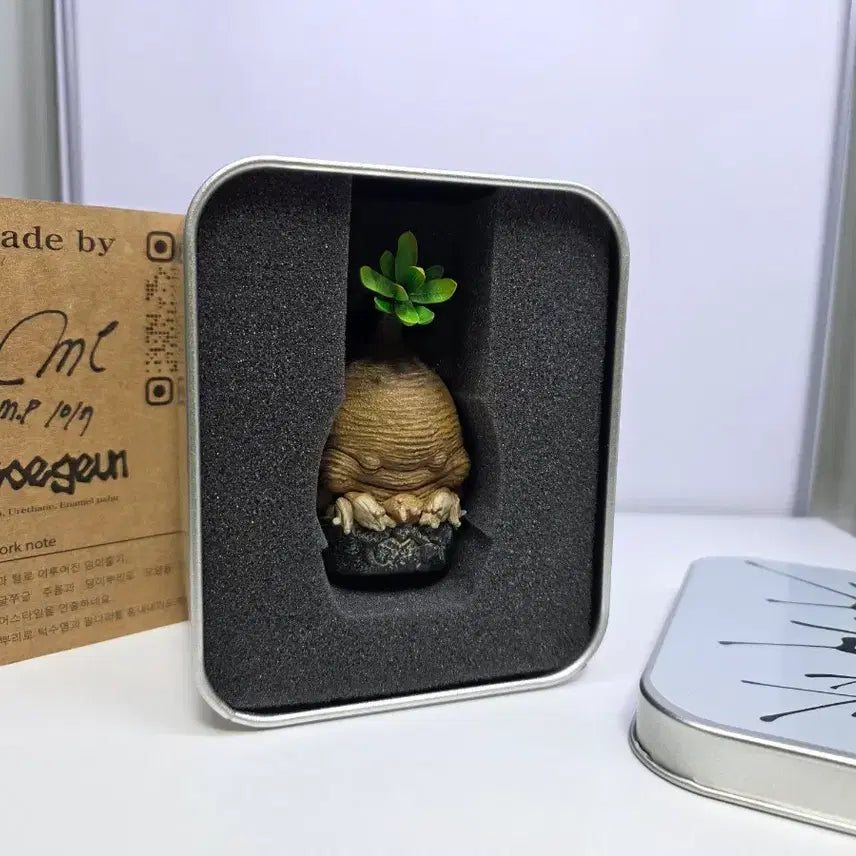 [BUNJANG] Codex Plant Figure Bundle / [피규어/스태츄] 코덱스 식물 피규어 일괄 판매합니다.