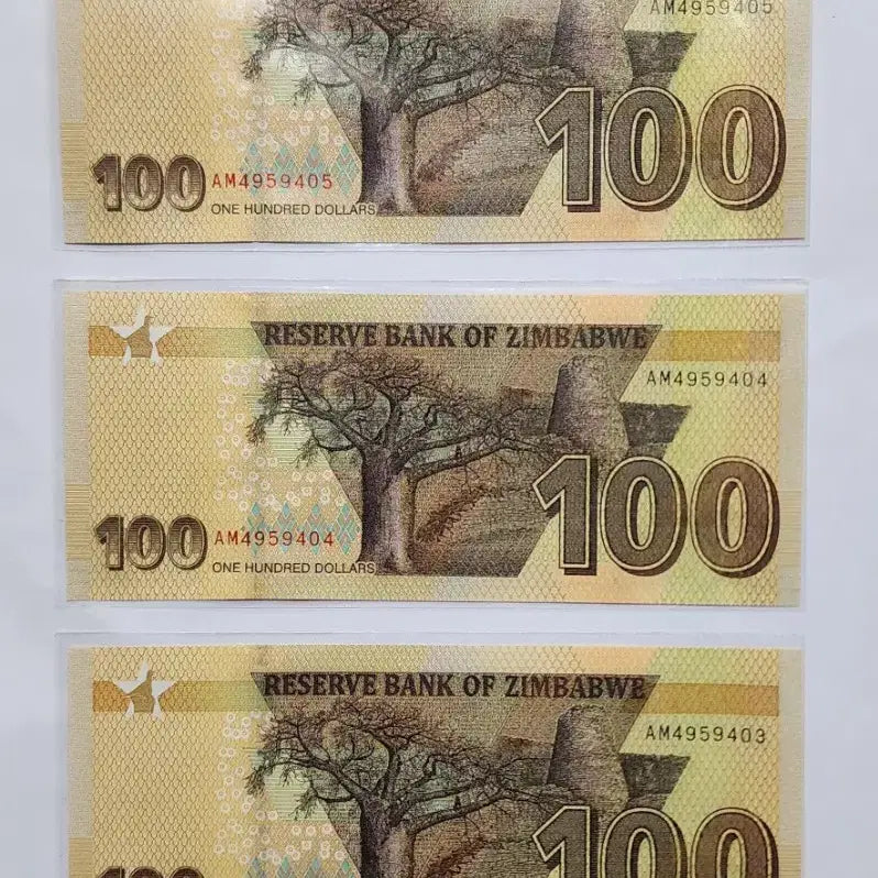 [BUNJANG] Zimbabwe 100 Dollar Banknote (3 Bills, Unused) / 짐바브웨 100달러 지폐