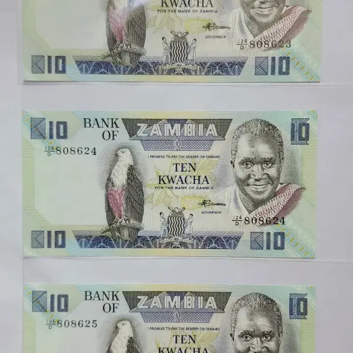 [BUNJANG] Zambia 10 Kwacha Banknote (Uncirculated) / 잠비아 10 콰차 지폐