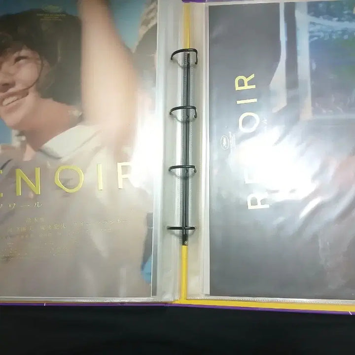[BUNJANG] Renoir Movie Artgraphy Poster / 르누아르 영화 아트그라피