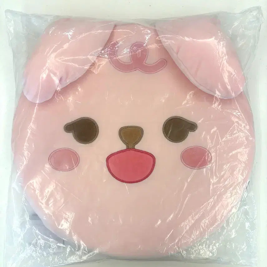 [BUNJANG] Day6 Pier Ten Petit Dennimals Cushion / 단순개봉 원가양도) 데이식스 팬미팅 피어텐 쁘띠 데니멀즈 방석 쿠션 필