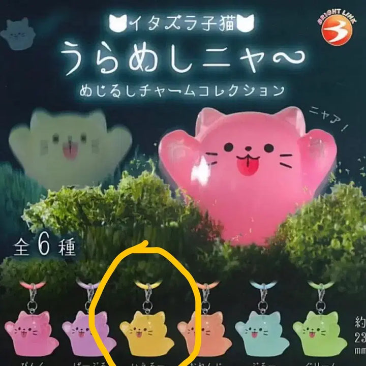 [BUNJANG] Itazura Koneko Mezurushi (Unsealed) Mischievous Baby Cat / (미개봉)장난꾸러기 아기고양이 메지루시