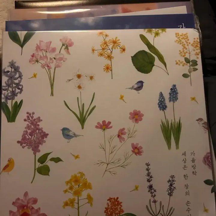 [BUNJANG] Autumn Vacation, Lalaland, Giriboy Vinyl Records / Lp