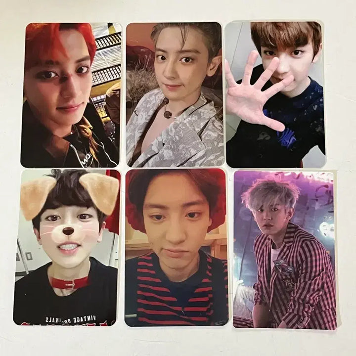 [BUNJANG] EXO Chanyeol Bundle Set Photocard / 엑소 찬열 포토카드 일괄