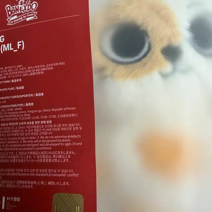 [BUNJANG] BOYNEXTDOOR Cat Ppi Plush Keychain / 보넥도 캣삐 플러쉬 키링