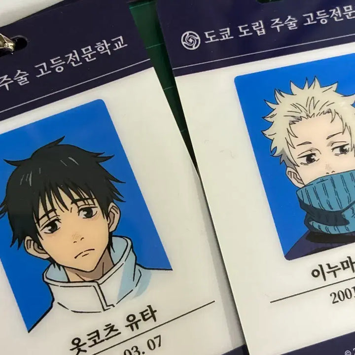 [BUNJANG] Jujutsu Kaisen ID Cards Bundle Set (Gojo, Geto, Toge, Yuta) / 마지막 가격) 주술회전 id 카드 고죠,게토,토게,유타 일괄