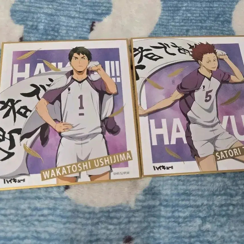 [BUNJANG] Haikyuu!! Ushijima Wakatoshi &amp; Tendo Satori Banner Shikishi Bundle Set / 하이큐 현수막 색지 우시지마,텐도 일괄