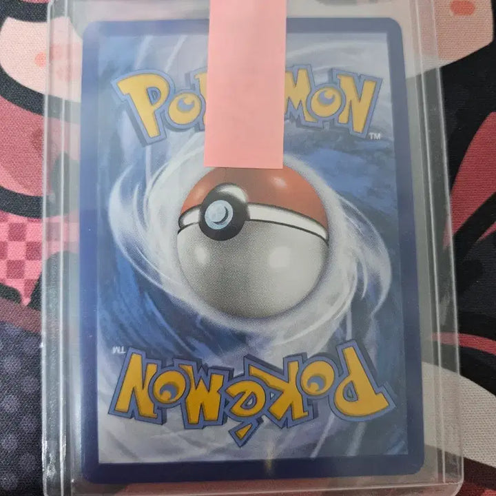 [BUNJANG] Pokemon Card MoyaMoya Promo / 포켓몬카드 모야모 프로모