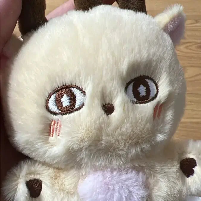 [BUNJANG] Park Ji Hoon Sosim Doll / 박지훈 소심이 인형