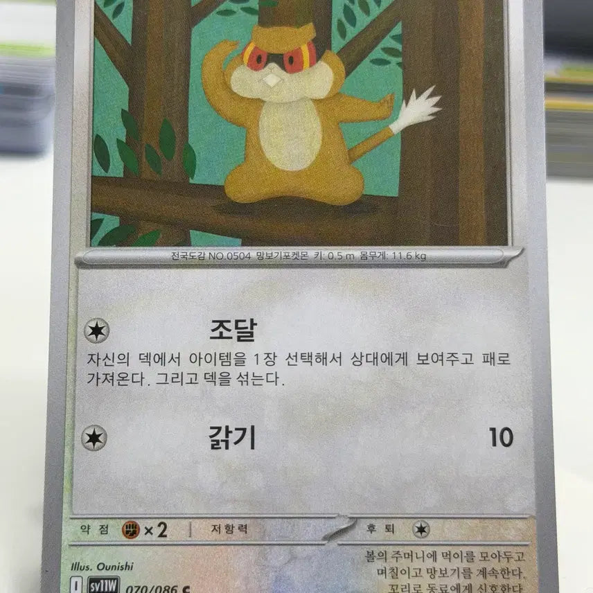 [BUNJANG] Borjous SV11W 070/086 C / 보르쥐 sv11W 070/086 C (300)원