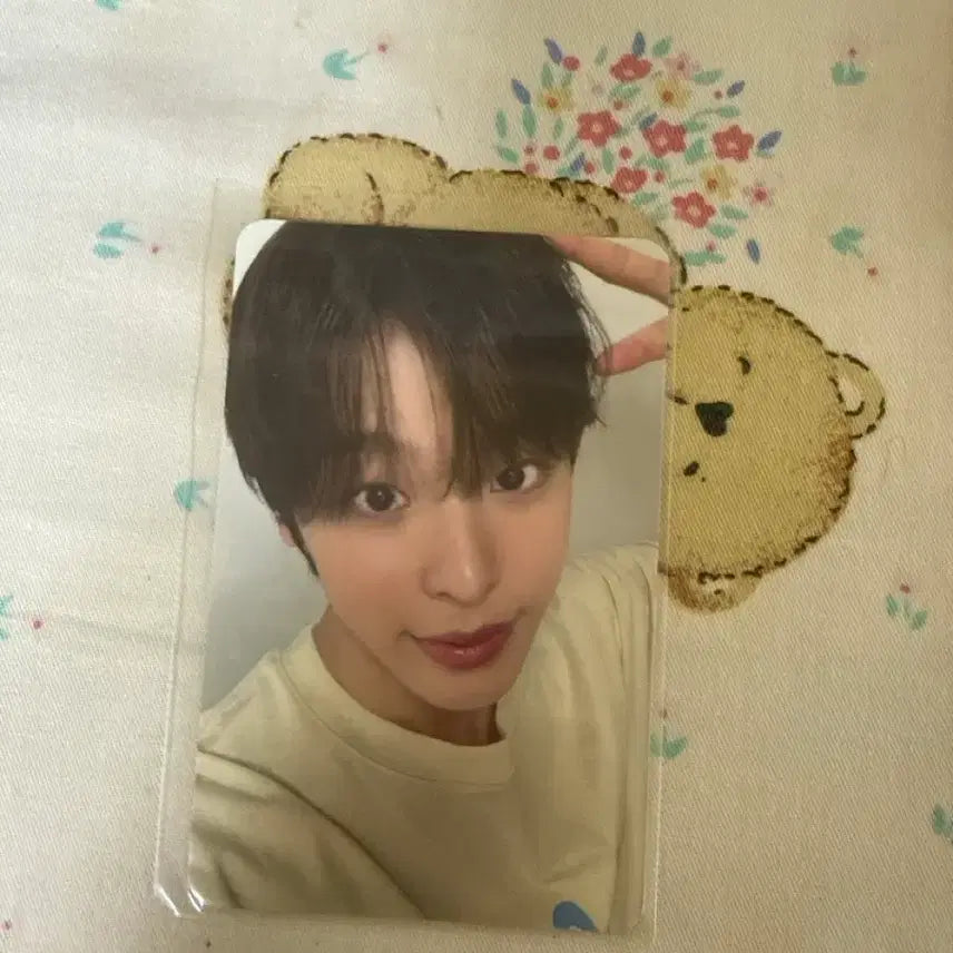[BUNJANG] NCT WISH Riku Photocard / NCT WISH RIKU 엔시티 위시 리쿠 포토카드