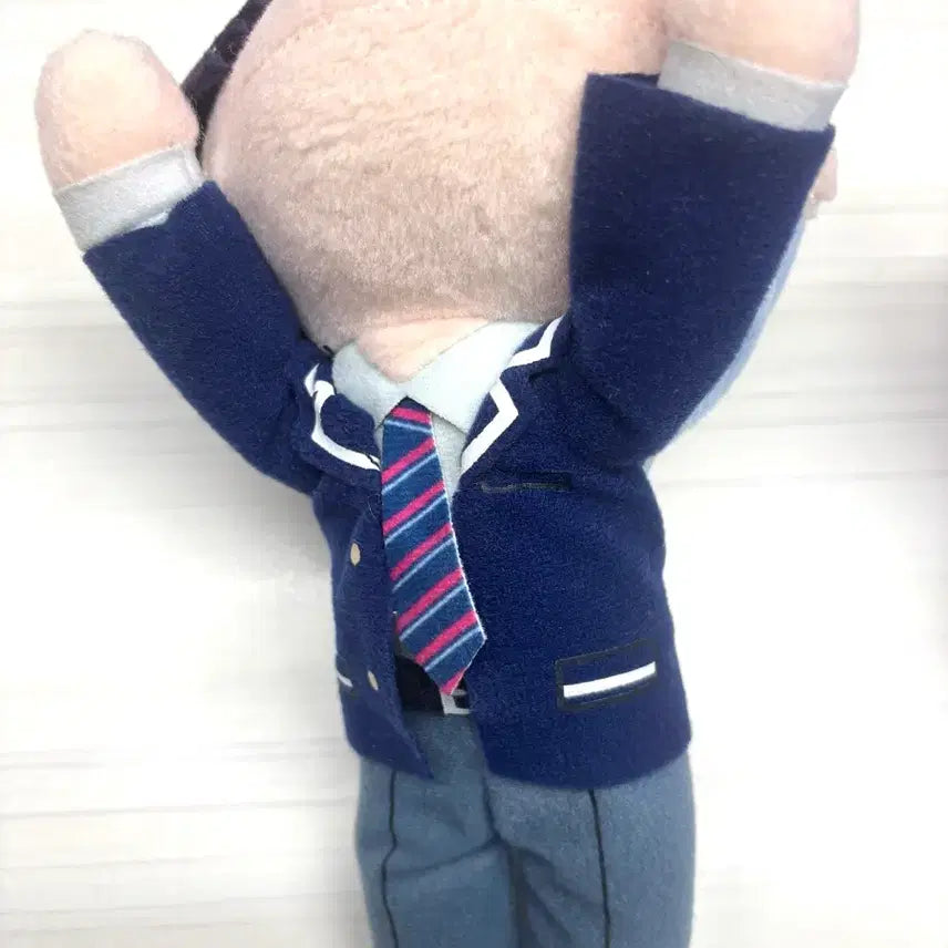 [BUNJANG] Project SEKAI Aoyagi Toya Nesoberi Plush / 프로세카 프세카 아오야기 토우야 네소베리 누이 비배스