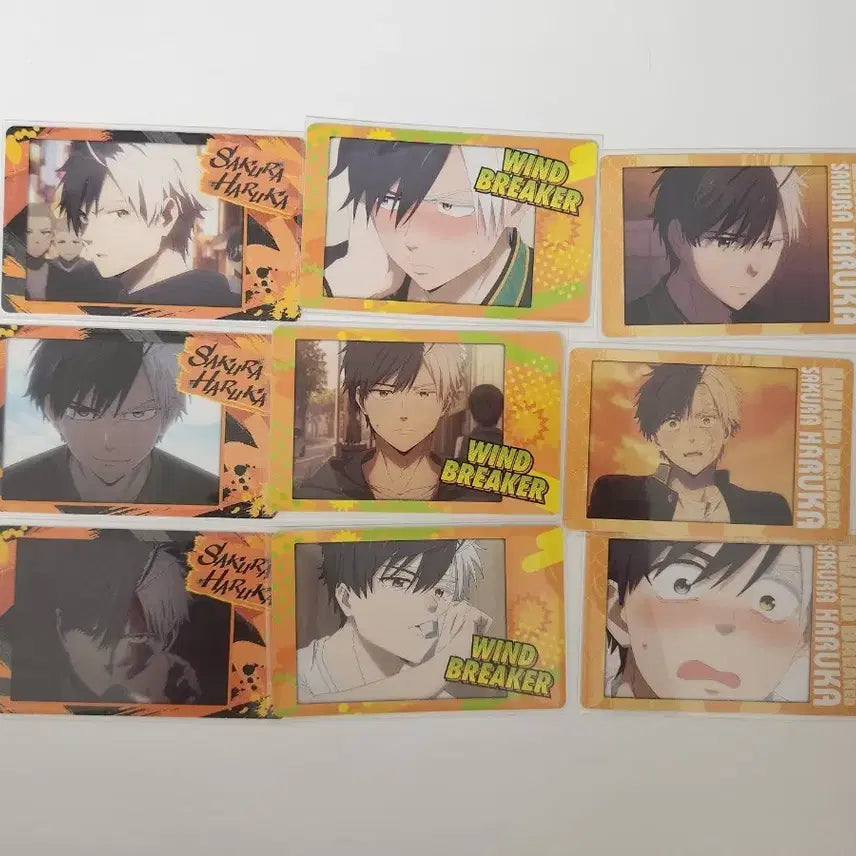 [BUNJANG] Weverse Sakura Haruka Windbreaker Photocard Bundle Set / 윈브레 사쿠라 스냅마이드 윈드브레이커