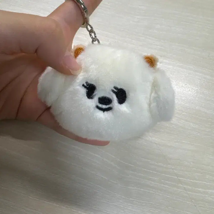 [BUNJANG] TXT Bullmoe Bamgisi Photocard / 투바투 뿔바투 밤긋이