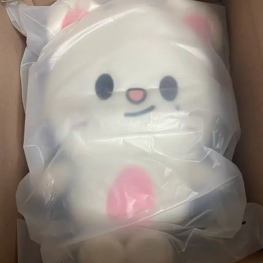 [BUNJANG] Stray Kids Flashback Backpack Skiz / 스트레이키즈 플러시백팩 지니렛 스키주