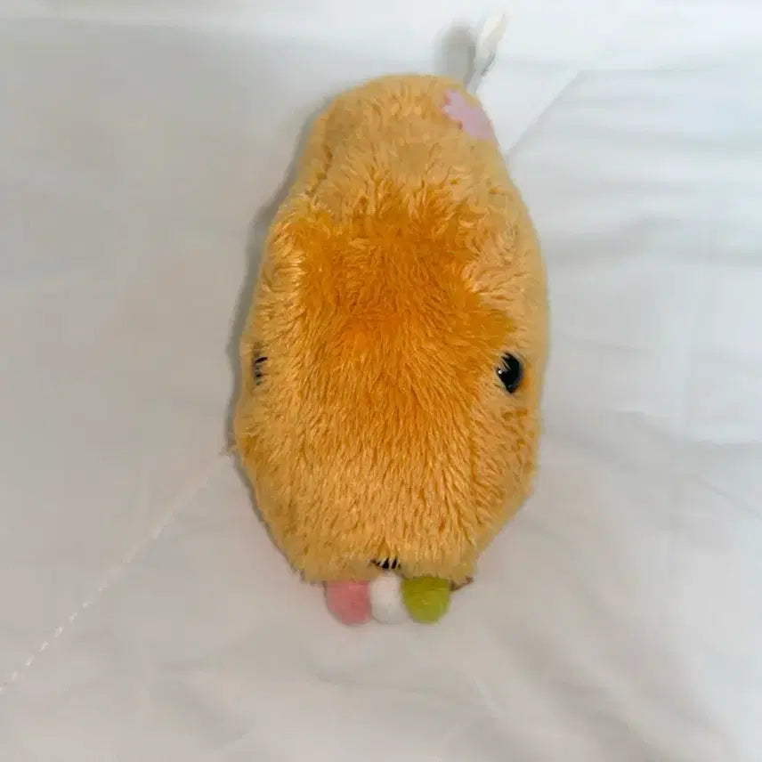 [BUNJANG] Capybara Plush / 카피바라상 인형