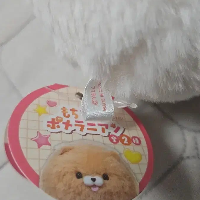 [BUNJANG] Mochi Mofu Pomeranian Plush / 모찌모후 포메라니안 봉제 인형