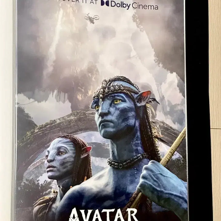 [BUNJANG] Avatar 1 Remastering Dolby Cinema A3 Poster / [초희귀한정판]영화 아바타1 리마스터링 돌비 포스터(A3)