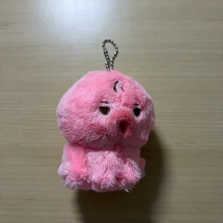 [BUNJANG] The Boyz Sunwoo Ddanko Doll / 더보이즈 선우 떤코 인형