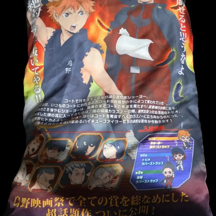[BUNJANG] Haikyuu Ichiban Kuji Fighters A Prize Cushion / 하이큐 이치방쿠지 파이터즈 a상 쿠션