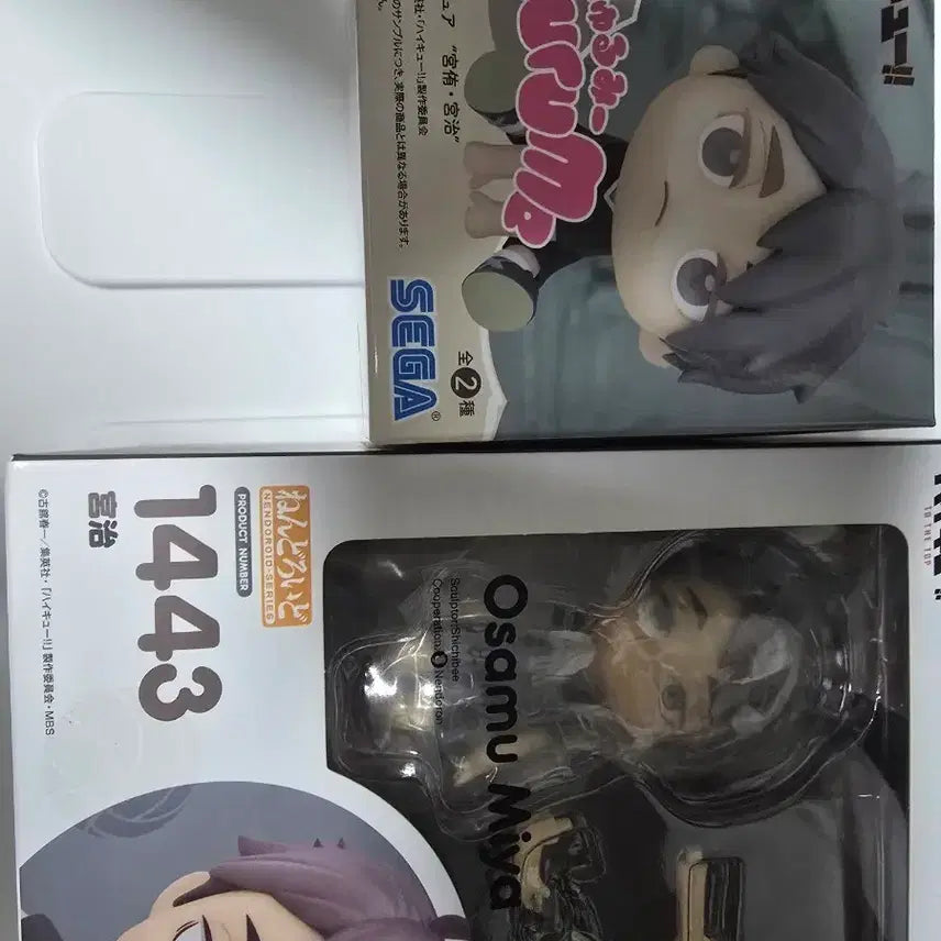 [BUNJANG] Haikyuu!! Osamu Miya Nendoroid &amp; Kurumi Plush Set / 하이큐 오사무 큐루미, 넨도