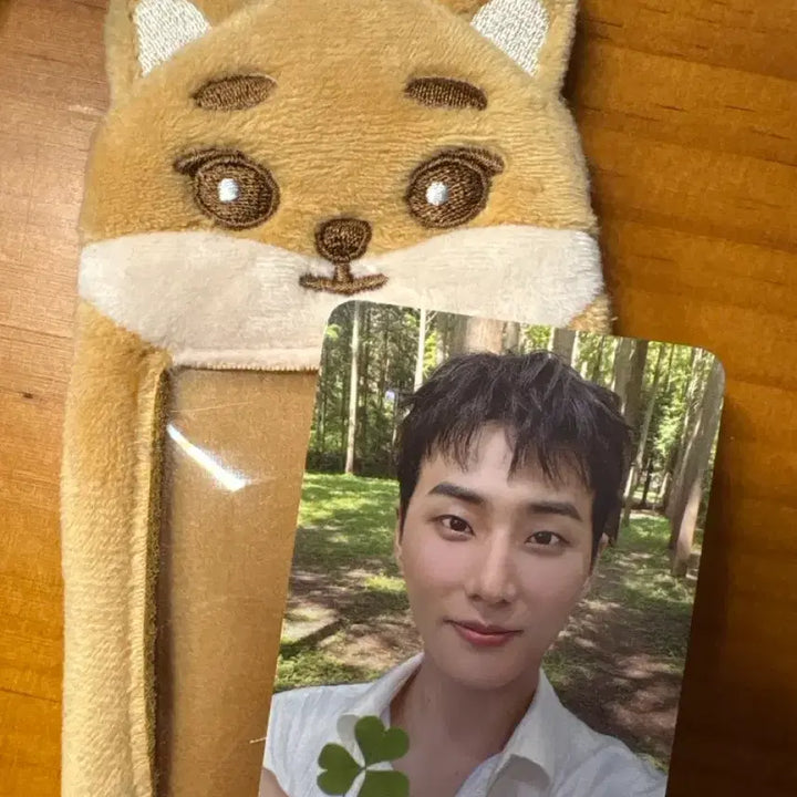 [BUNJANG] DAY6 Young K Clover Photocard Holder Set / 데이식스 영케이 클로버 포카 케 홀더 세트