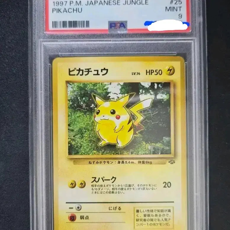 [BUNJANG] 1997 Jungle Series Pikachu Japanese PSA 9 Card / 1997 포켓몬 카드 일본 정글 피카츄 psa 9