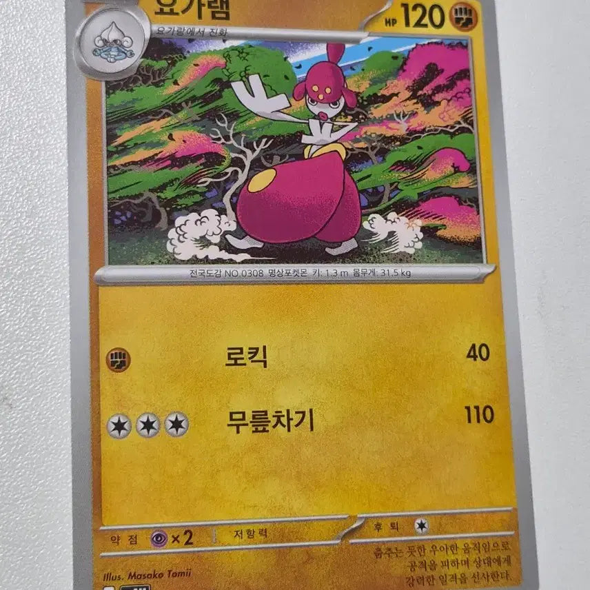 [BUNJANG] Pokemon Card Collection / 포켓몬 카드 모음집2