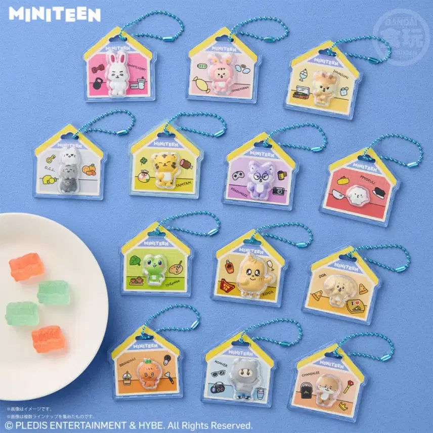 [BUNJANG] SEVENTEEN Mini Tin Charm Package Set [Open] - Character Confirmation Only / [현물] 미니틴 참 패키지참 식완 키링/열닫잠