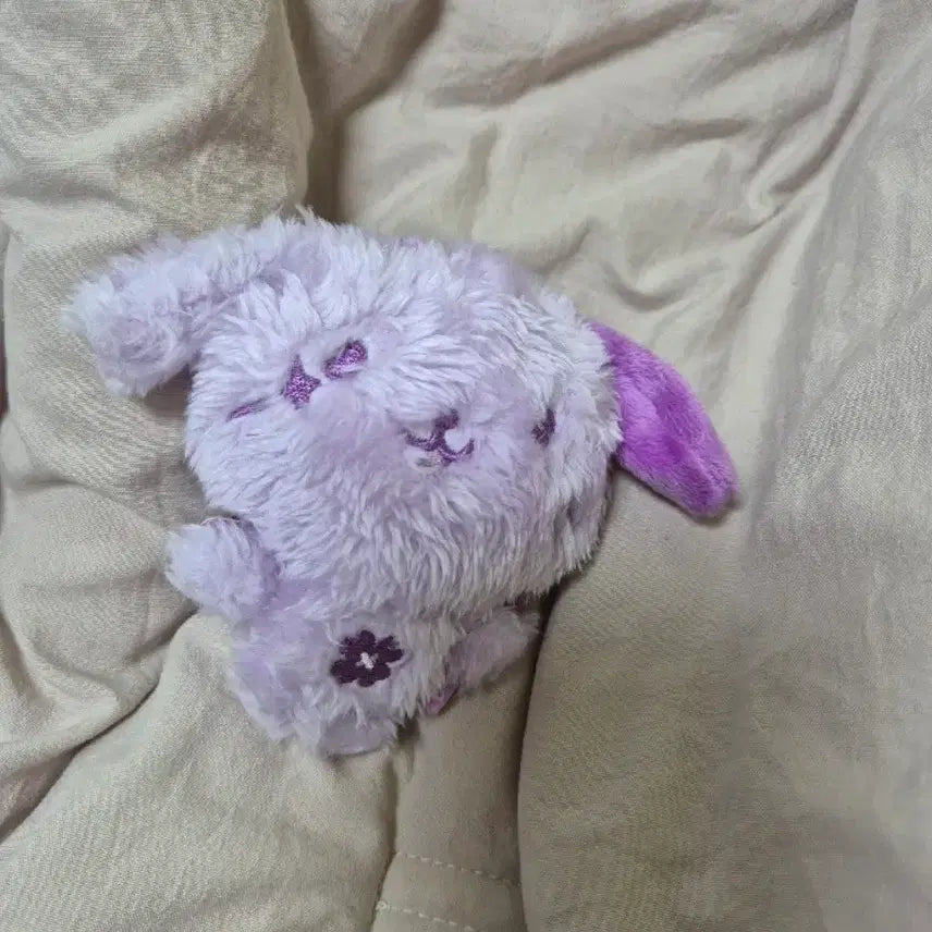 [BUNJANG] Wish Doll Random Color Plush / 랜덤 컬러 위시돌 인형