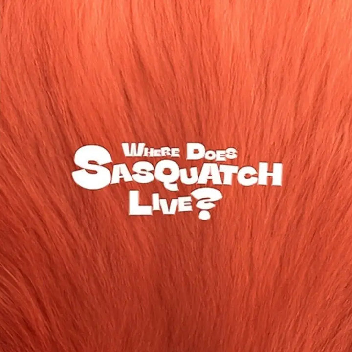 [BUNJANG] Zior Park WHERE DOES SASQUATCH LIVE? 2CD Sealed / 지올팍  WHERE DOES SASQUATCH LIVE  CD 미개봉