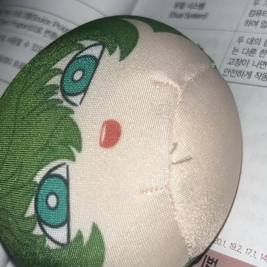 [BUNJANG] Midori "Nega Jugeo" Manju Plush / 네가죽어 네죽 미도리 만쥬 경단 팝니다