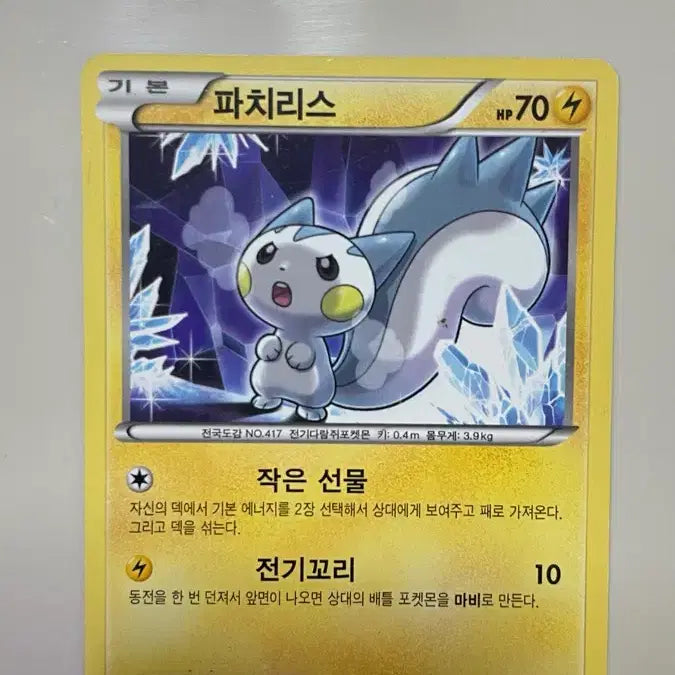 [BUNJANG] Pachirisu Ancient Card Boltund Set Vintage / 파치리스 볼트너클 고대 카드 빈티지