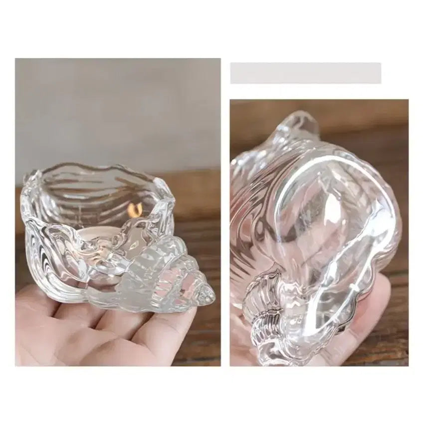 [BUNJANG] Seashell Transparent Candle Interior Decor / 바다 조개 소라 초 투명 캔들 장식 촛농 촛불 인테리어 꾸미기