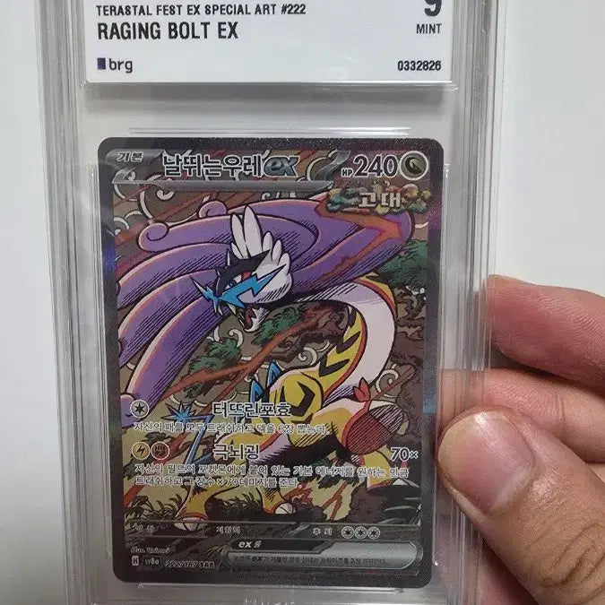 [BUNJANG] Pokémon Card Bundle: Blazing Tides (brg9), Crushing Waves (brg8), Thunderous Roar (brg9) / 블래키 마스터볼 brg9, 고동치는달 brg8, 날뛰는우레 brg9