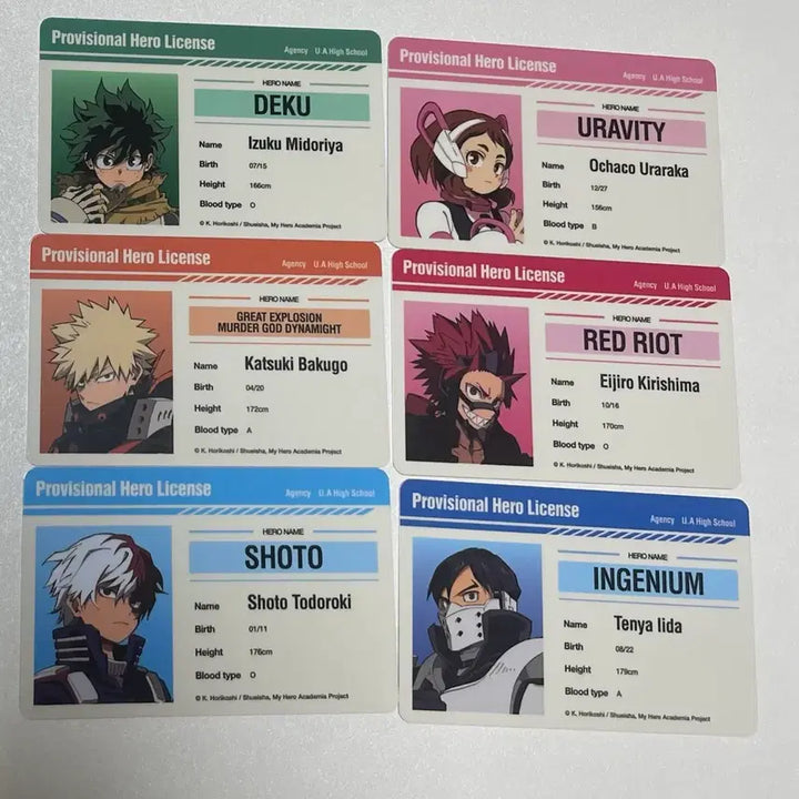 [BUNJANG] My Hero Academia Temporary Hero License / 히로아카 임시 히어로 면허