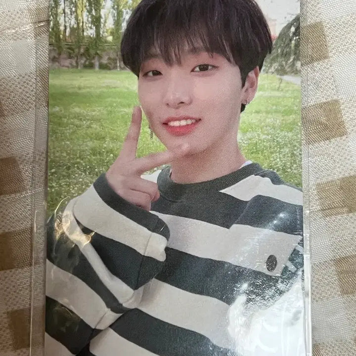[BUNJANG] ONEUS Seoho Taeyang Fall Fanclub Photocard / 원어스 서호 태양이 떨어진다 공방 포카