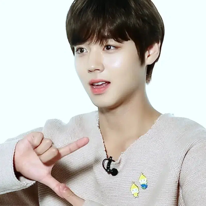 [BUNJANG] Park Jihoon Environmental Ambassador Pouch and Nau Character Badge Set / 박지훈 나우 환경부 굿즈
