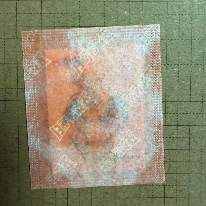 [BUNJANG] Pokemon 30th Anniversary Artwork Ttibusil Charmander Sticker / 포켓몬 30주년 아트워크 띠부씰 리자몽
