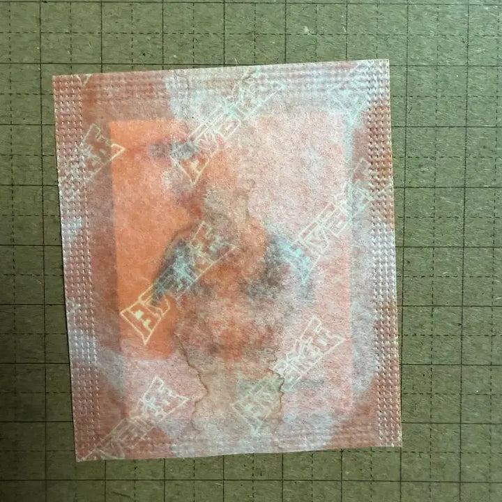[BUNJANG] Pokemon 30th Anniversary Artwork Ttibusil Charmander Sticker / 포켓몬 30주년 아트워크 띠부씰 리자몽