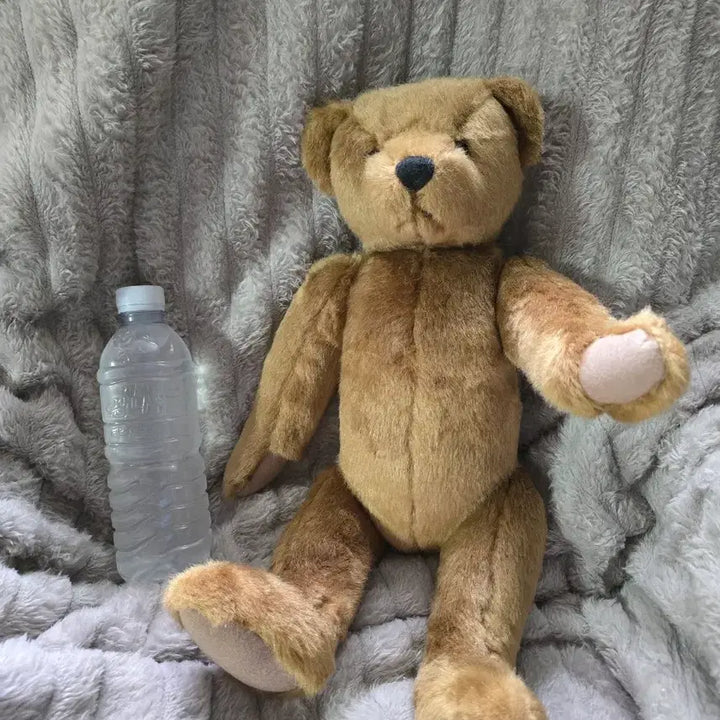 [BUNJANG] Teddy Bear Museum Jointed Bear / 테디베어뮤지엄 관절 베어