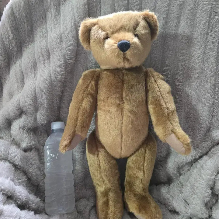 [BUNJANG] Teddy Bear Museum Jointed Bear / 테디베어뮤지엄 관절 베어