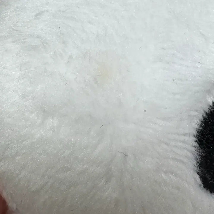 [BUNJANG] Yasasusa Doll / 야사우사 인형