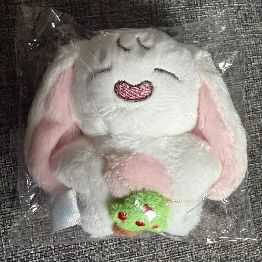 [BUNJANG] Park Bo Young Bbo_yu Doll / 박보영 뽀유 인형  박보영인형