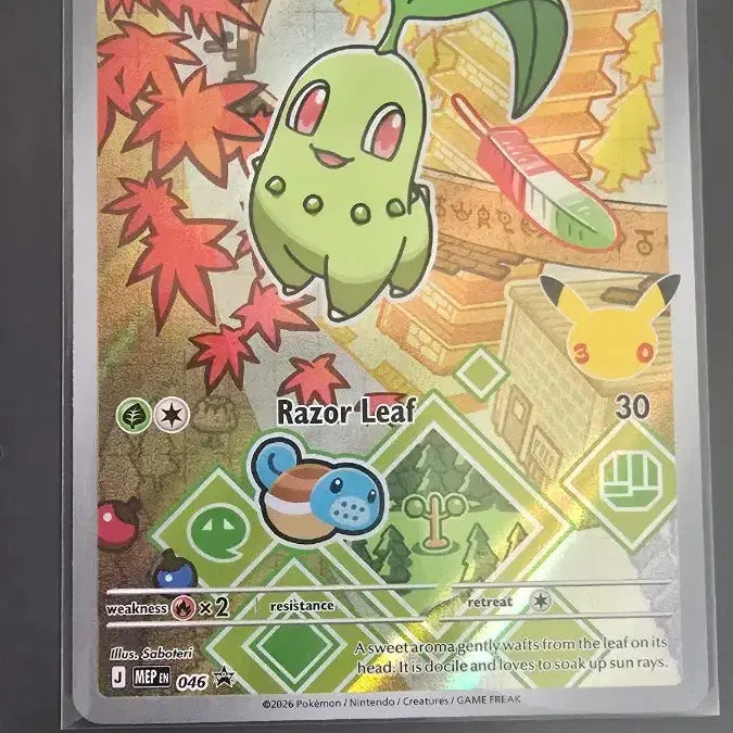[BUNJANG] Pokemon Trading Card Game 30th Anniversary North American First Partner 2nd Generation Set / 포켓몬스터카드 30주년 북미판 퍼스트파트너 2세대 세트